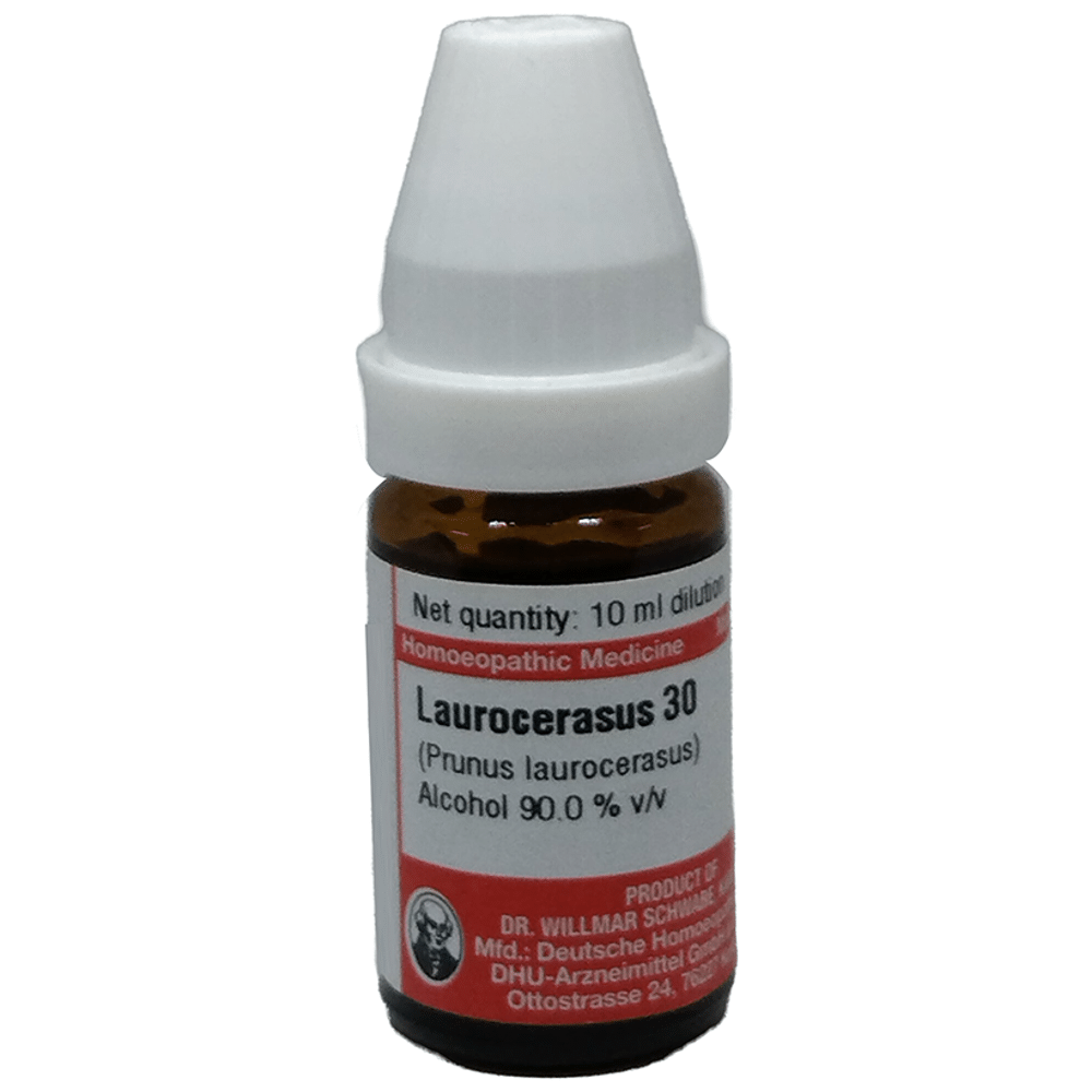 Dr Willmar Schwabe Germany Laurocerasus (Prunus Laurocerasus) Dilution 30