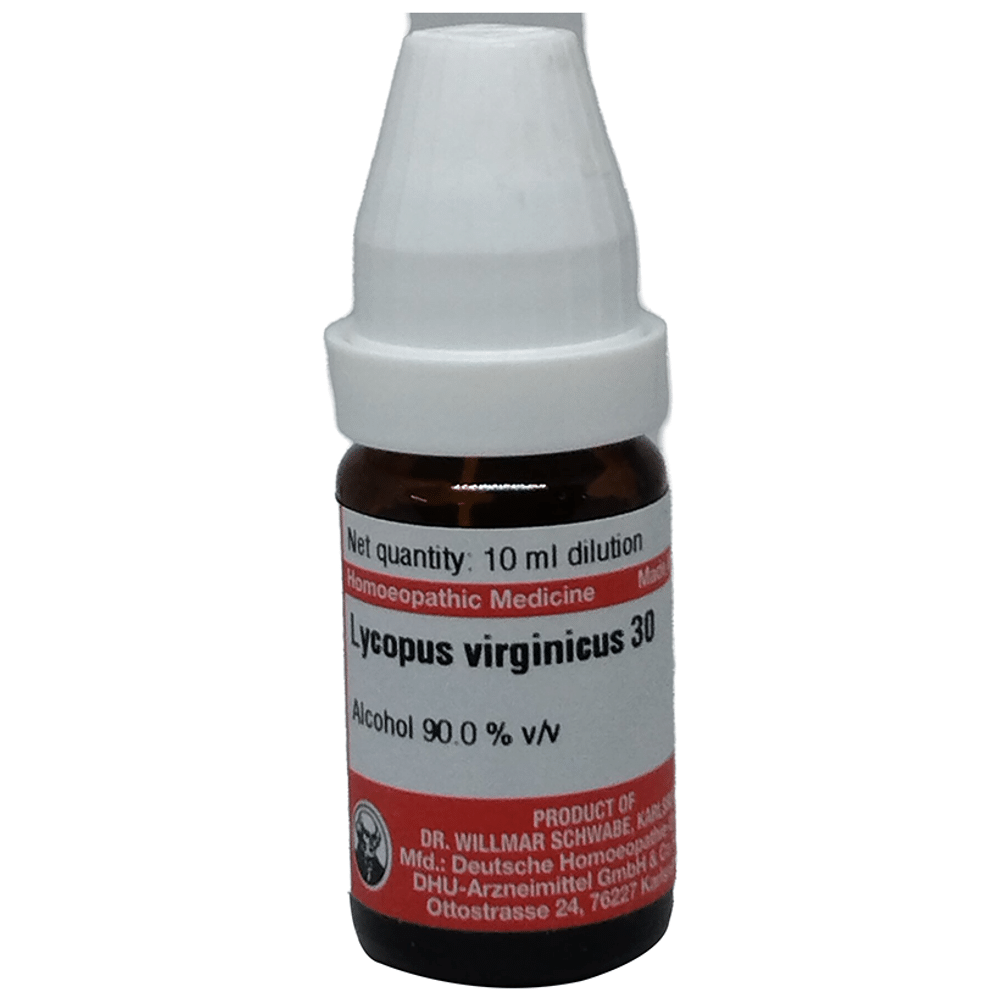 Dr Willmar Schwabe Germany Lycopus Virginicus Dilution 30 Dr Willmar Schwabe Germany Lycopus Virginicus Dilution 30