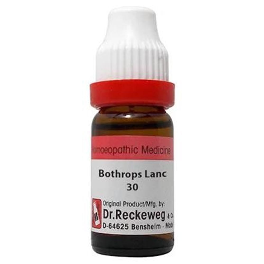 Dr. Reckeweg Bothrops Lanc Dilution 30 CH Dr. Reckeweg Bothrops Lanc Dilution 30 CH