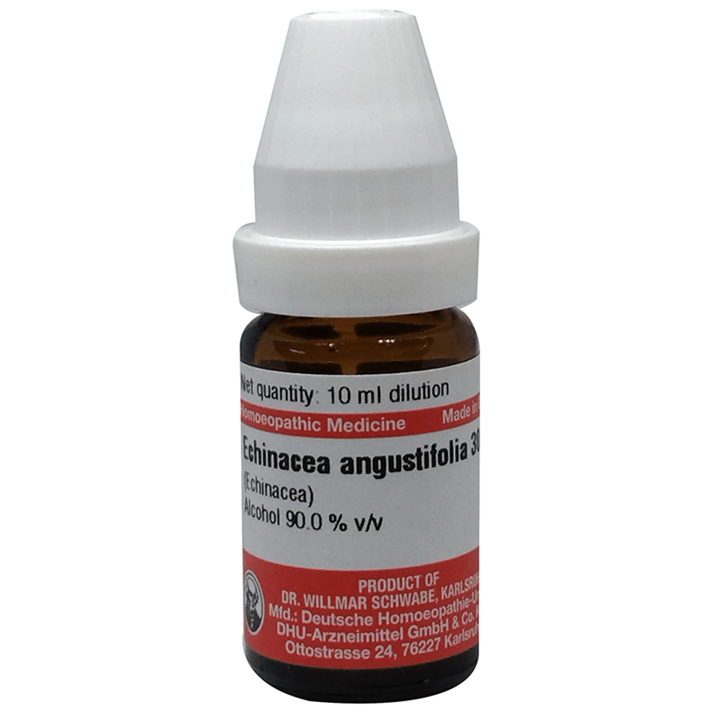 Dr Willmar Schwabe Germany Echinacea Angustifolia Dilution 30 Dr Willmar Schwabe Germany Echinacea Angustifolia Dilution 30