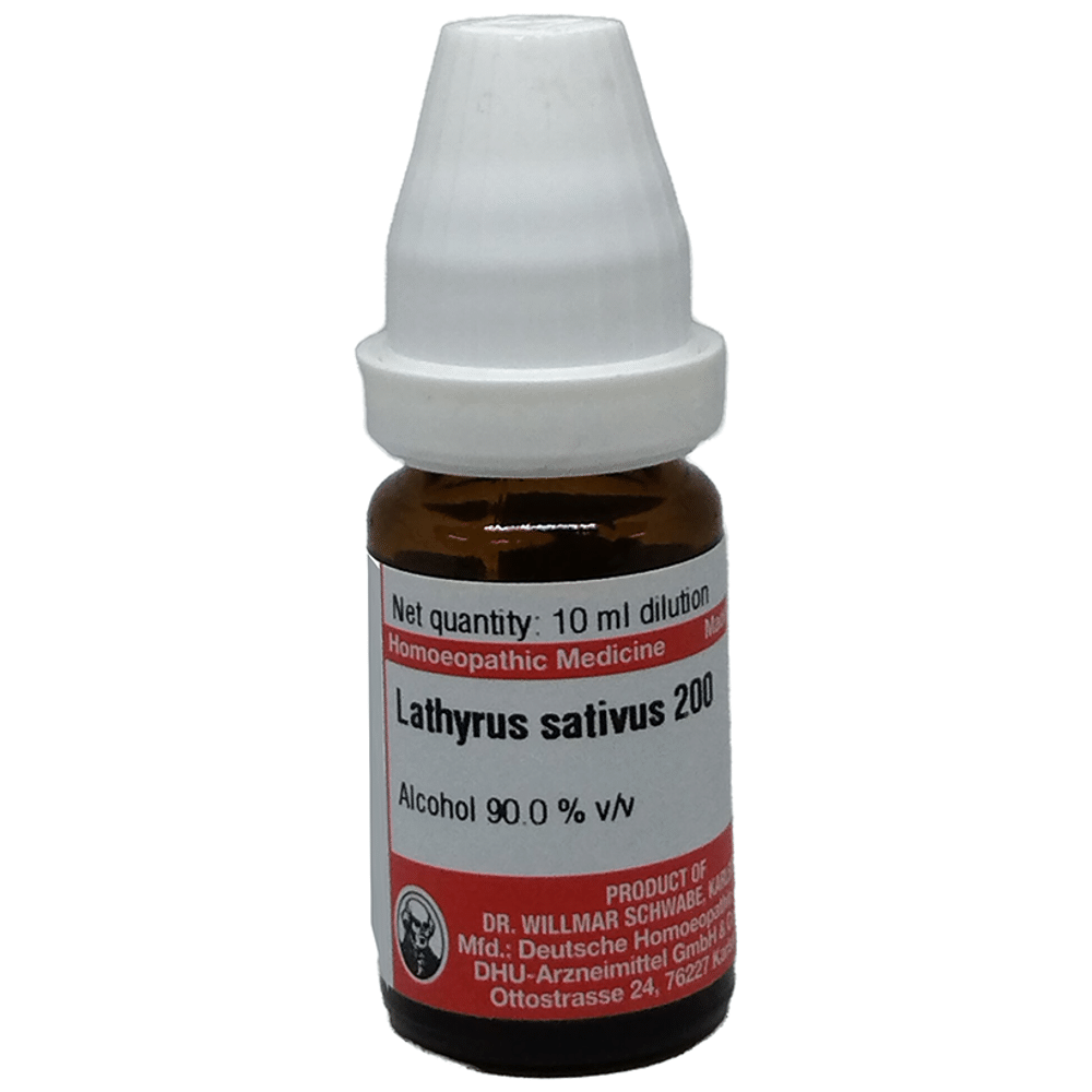 Dr Willmar Schwabe Germany Lathyrus Sativus Dilution 200 Dr Willmar Schwabe Germany Lathyrus Sativus Dilution 200