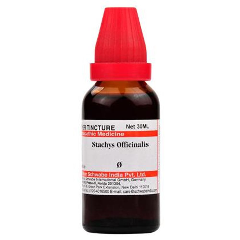 Dr Willmar Schwabe India Stachys Officinalis Mother Tincture Q Dr Willmar Schwabe India Stachys Officinalis Mother Tincture Q
