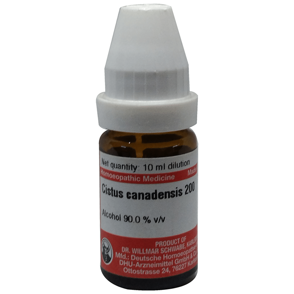 Dr Willmar Schwabe Germany Cistus Canadensis Dilution 200 Dr Willmar Schwabe Germany Cistus Canadensis Dilution 200