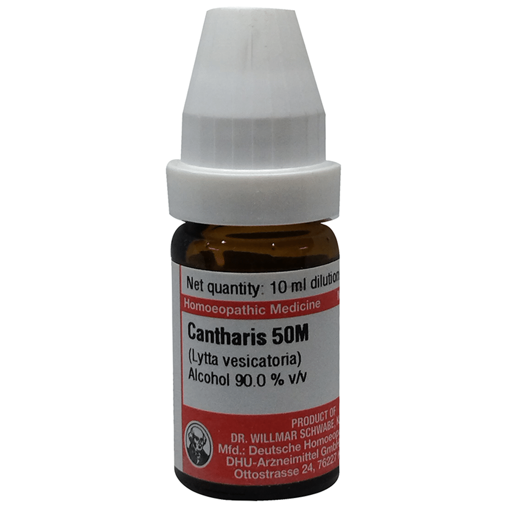 Dr Willmar Schwabe Germany Cantharis Dilution 50M Dr Willmar Schwabe Germany Cantharis Dilution 50M