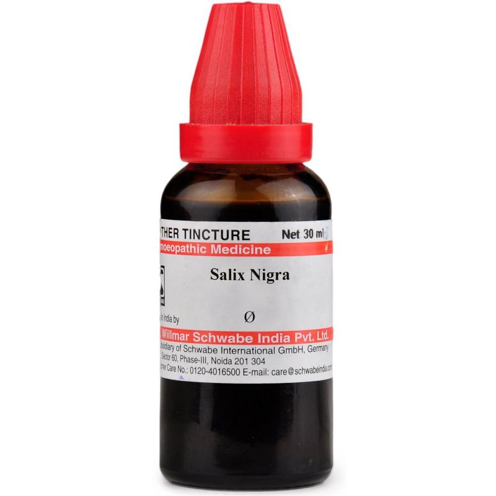Dr Willmar Schwabe India Salix Nigra Mother Tincture Q Dr Willmar Schwabe India Salix Nigra Mother Tincture Q