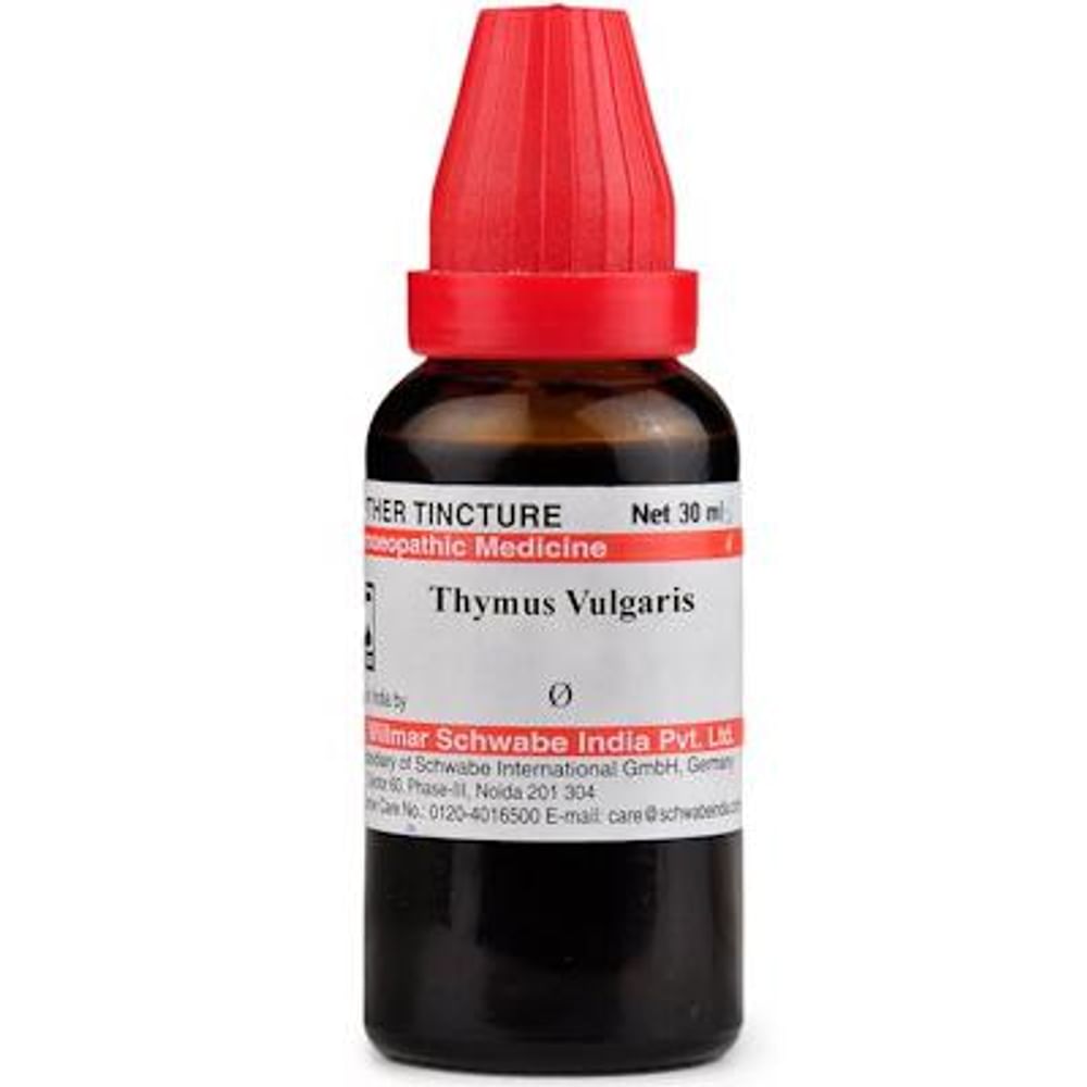 Dr Willmar Schwabe India Thymus Vulgaris Mother Tincture Q Dr Willmar Schwabe India Thymus Vulgaris Mother Tincture Q
