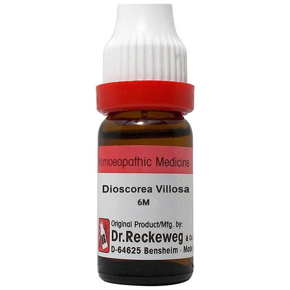 Dr. Reckeweg Gnaphalium Pol Dilution 6 CH Dr. Reckeweg Gnaphalium Pol Dilution 6 CH