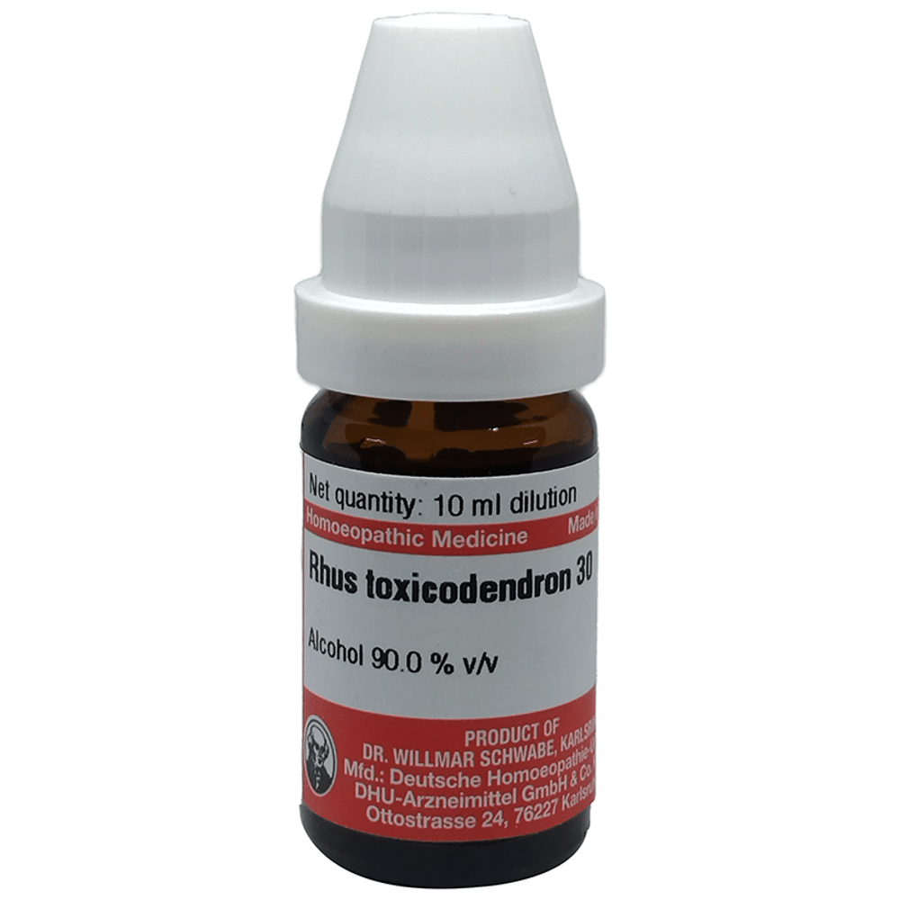 Dr Willmar Schwabe Germany Rhus Toxicodendron Dilution 30 Dr Willmar Schwabe Germany Rhus Toxicodendron Dilution 30