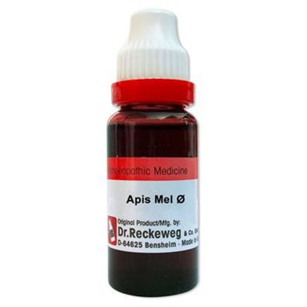Dr. Reckeweg Apis Mel Mother Tincture Q Dr. Reckeweg Apis Mel Mother Tincture Q