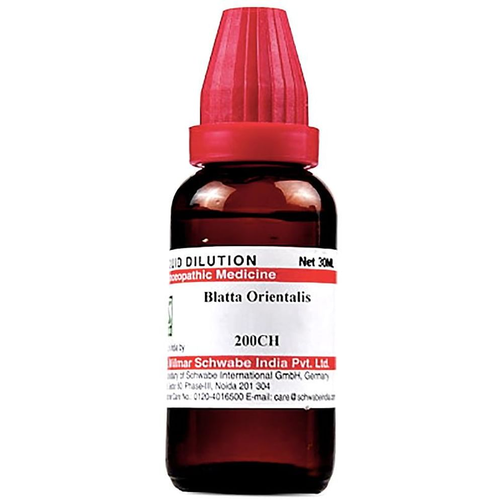 Dr Willmar Schwabe India Blatta Orientalis Dilution 200 CH Dr Willmar Schwabe India Blatta Orientalis Dilution 200 CH