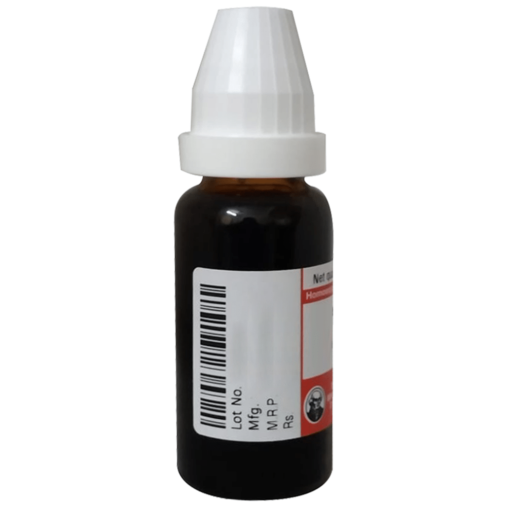 Dr Willmar Schwabe Germany Cantharis Dilution 10M Dr Willmar Schwabe Germany Cantharis Dilution 10M