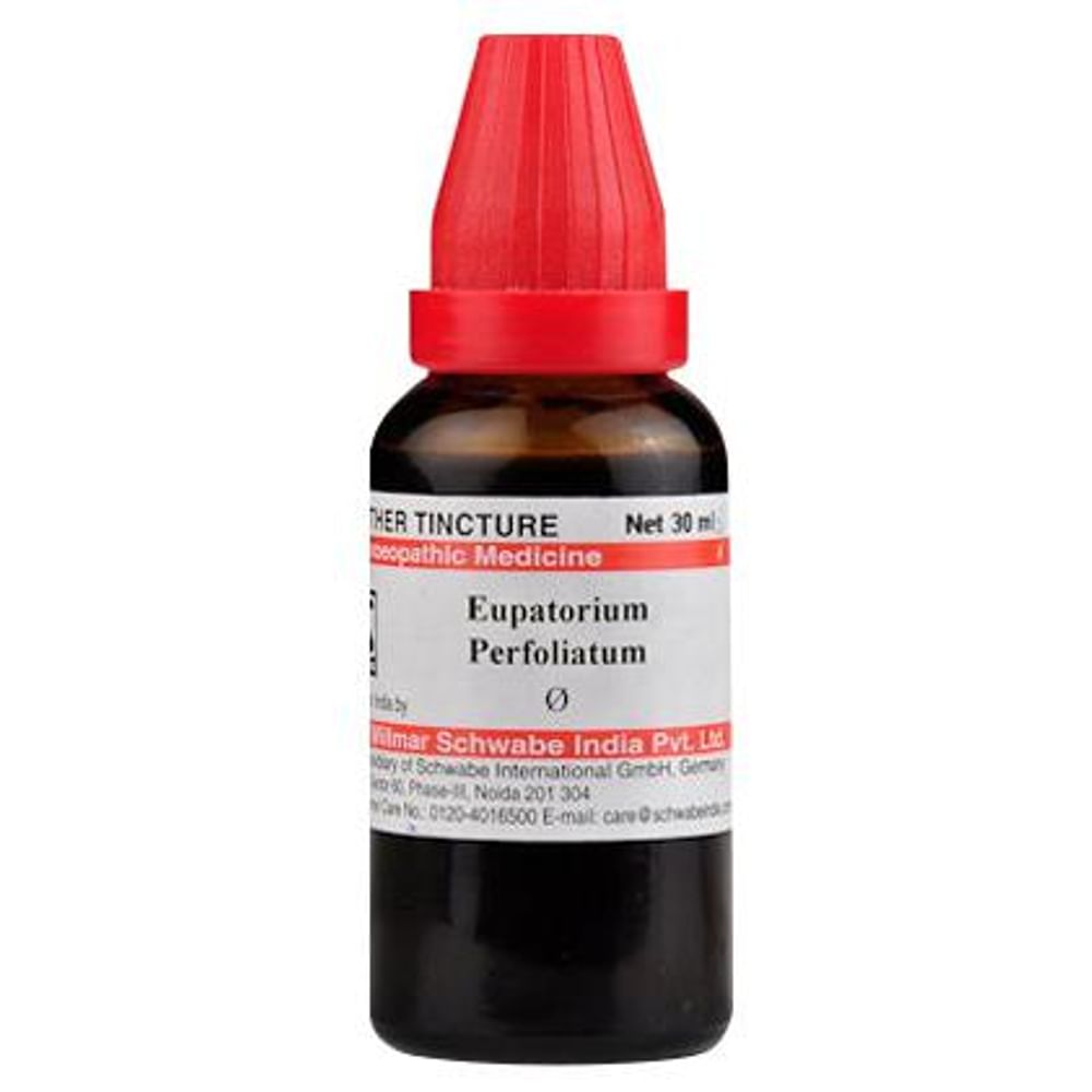Dr Willmar Schwabe India Eupatorium Perfoliatum Mother Tincture Q Dr Willmar Schwabe India Eupatorium Perfoliatum Mother Tincture Q