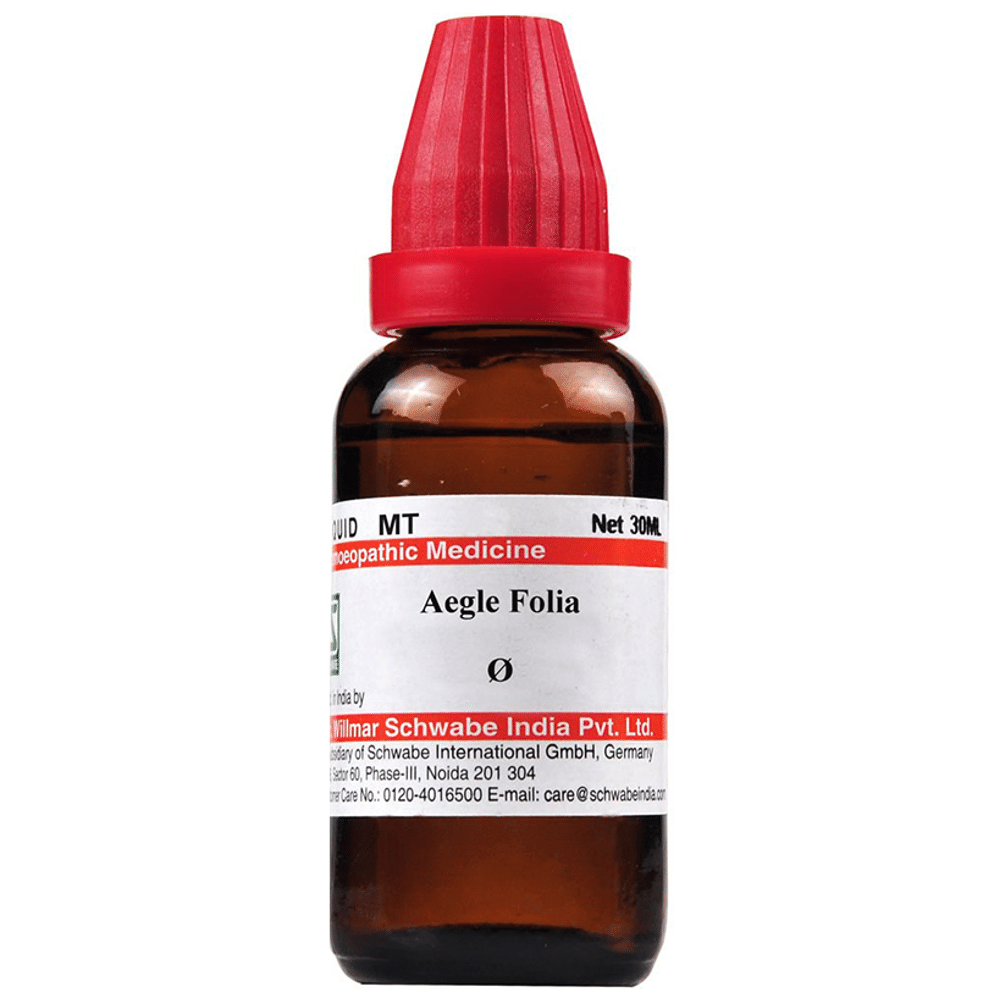 Dr Willmar Schwabe India Aegle Folia Mother Tincture Q Dr Willmar Schwabe India Aegle Folia Mother Tincture Q