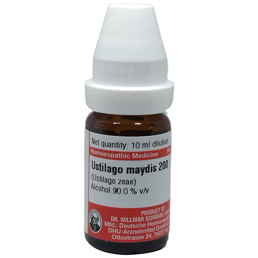 Dr Willmar Schwabe Germany Ustilago Maydis (Ustilago Zeae) Dilution 200 Dr Willmar Schwabe Germany Ustilago Maydis (Ustilago Zeae) Dilution 200
