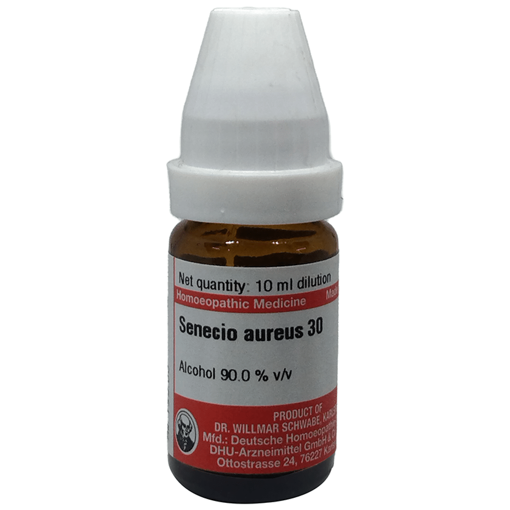 Dr Willmar Schwabe Germany Senecio Aureus Dilution 30 Dr Willmar Schwabe Germany Senecio Aureus Dilution 30