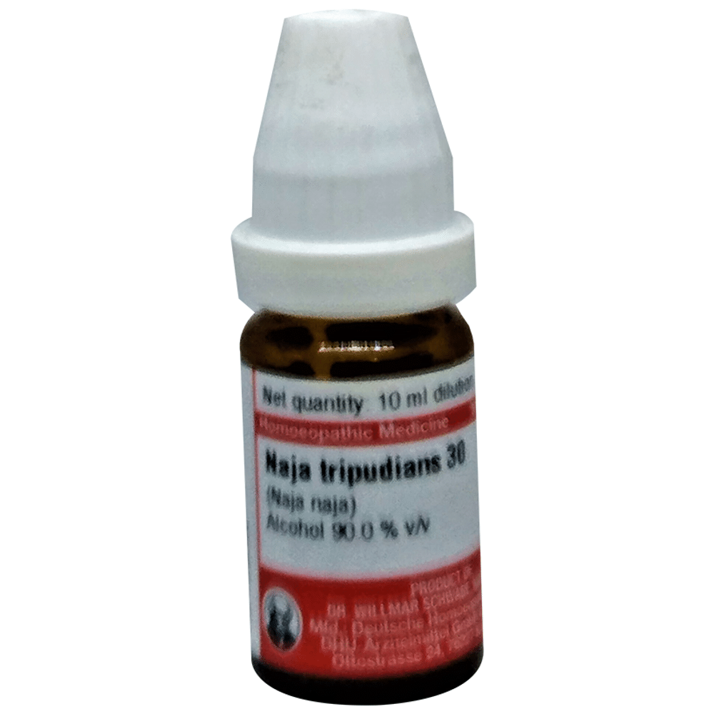 Dr Willmar Schwabe Germany Naja Tripudians Dilution 30 Dr Willmar Schwabe Germany Naja Tripudians Dilution 30