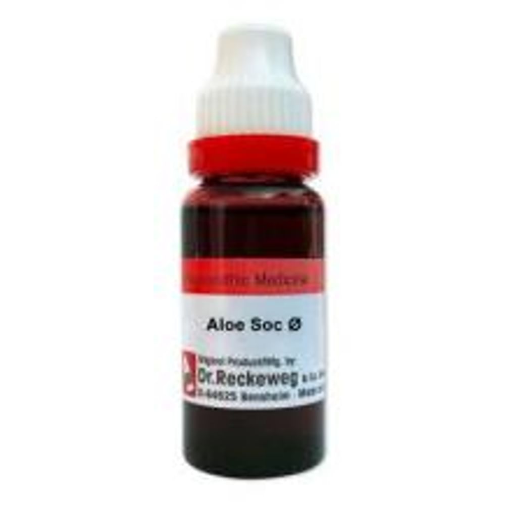 Dr. Reckeweg Aloe Soc Mother Tincture Q Dr. Reckeweg Aloe Soc Mother Tincture Q