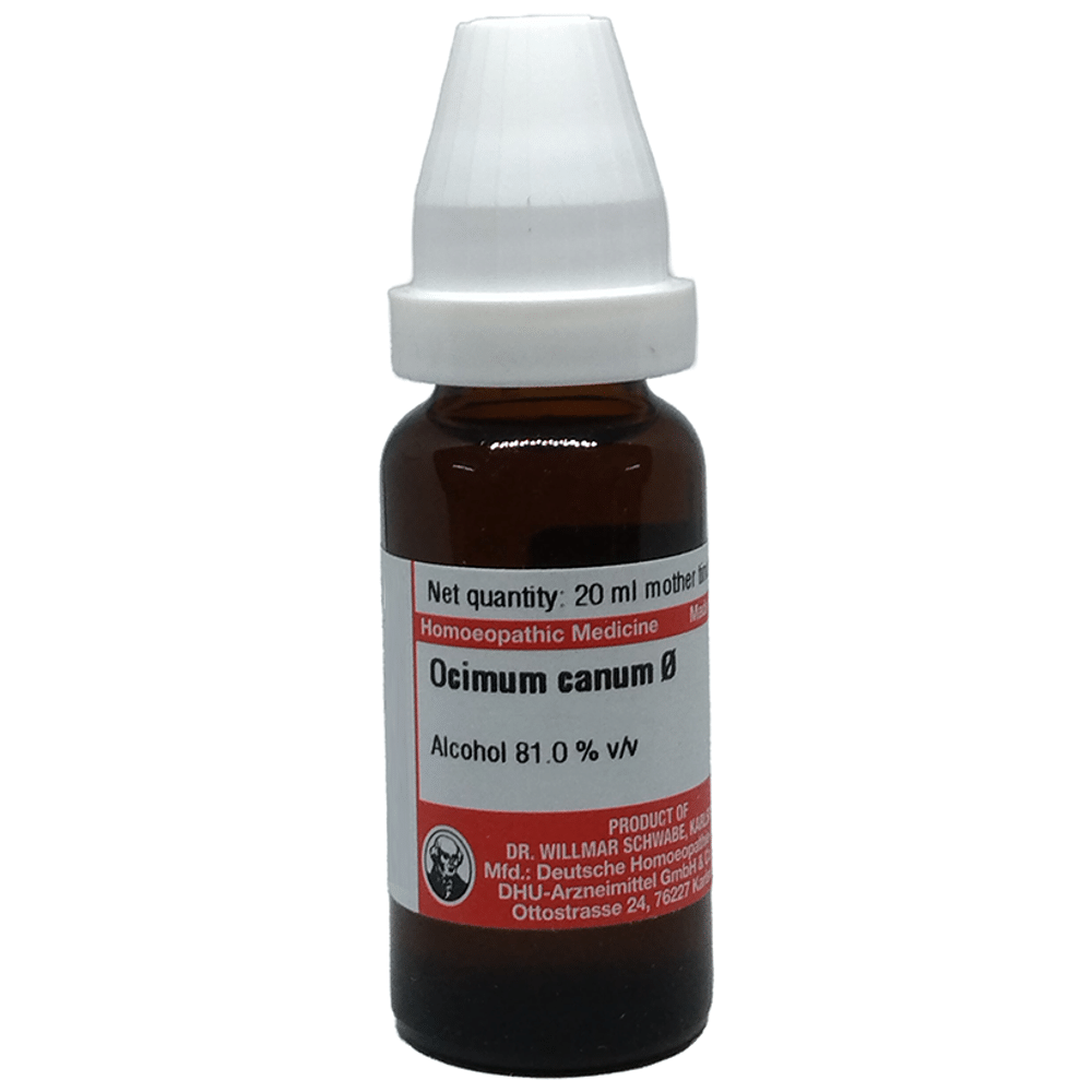 Dr Willmar Schwabe Germany Ocimum Canum Mother Tincture Q Dr Willmar Schwabe Germany Ocimum Canum Mother Tincture Q
