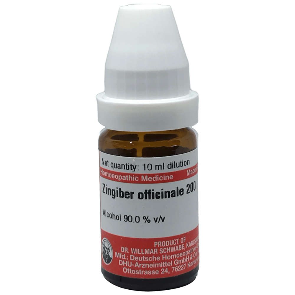 Dr Willmar Schwabe Germany Zingiber Officinale Dilution 200 Dr Willmar Schwabe Germany Zingiber Officinale Dilution 200