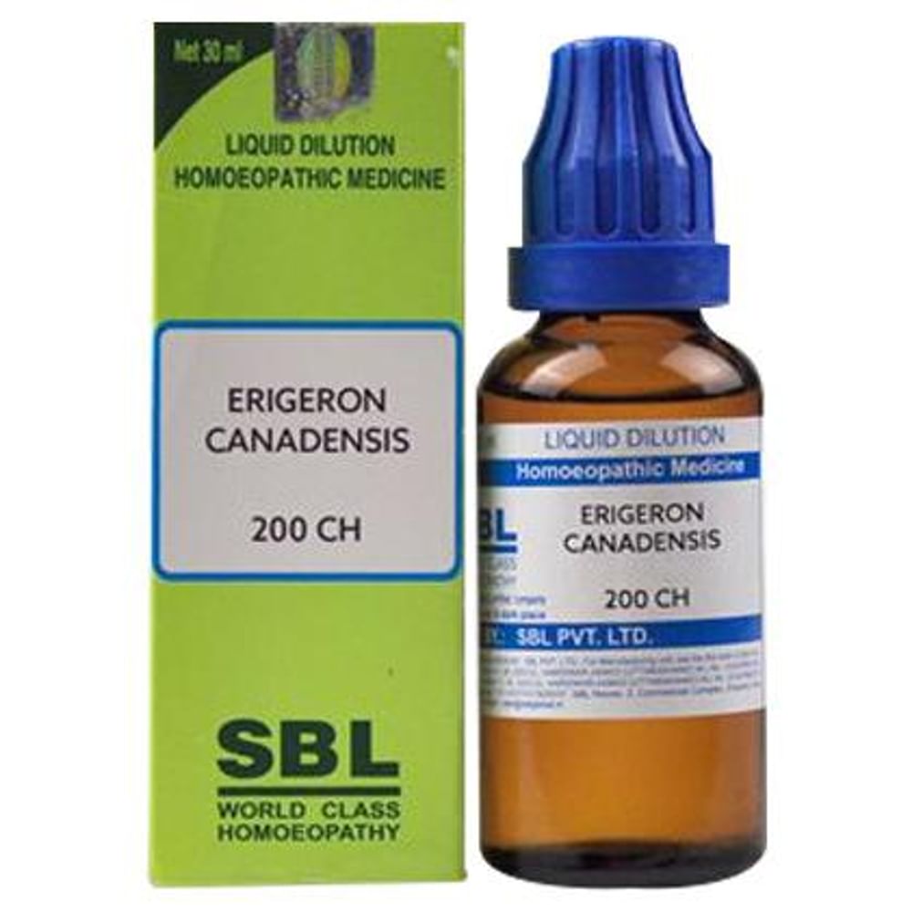 SBL Erigeron Canadensis Dilution 200 CH SBL Erigeron Canadensis Dilution 200 CH