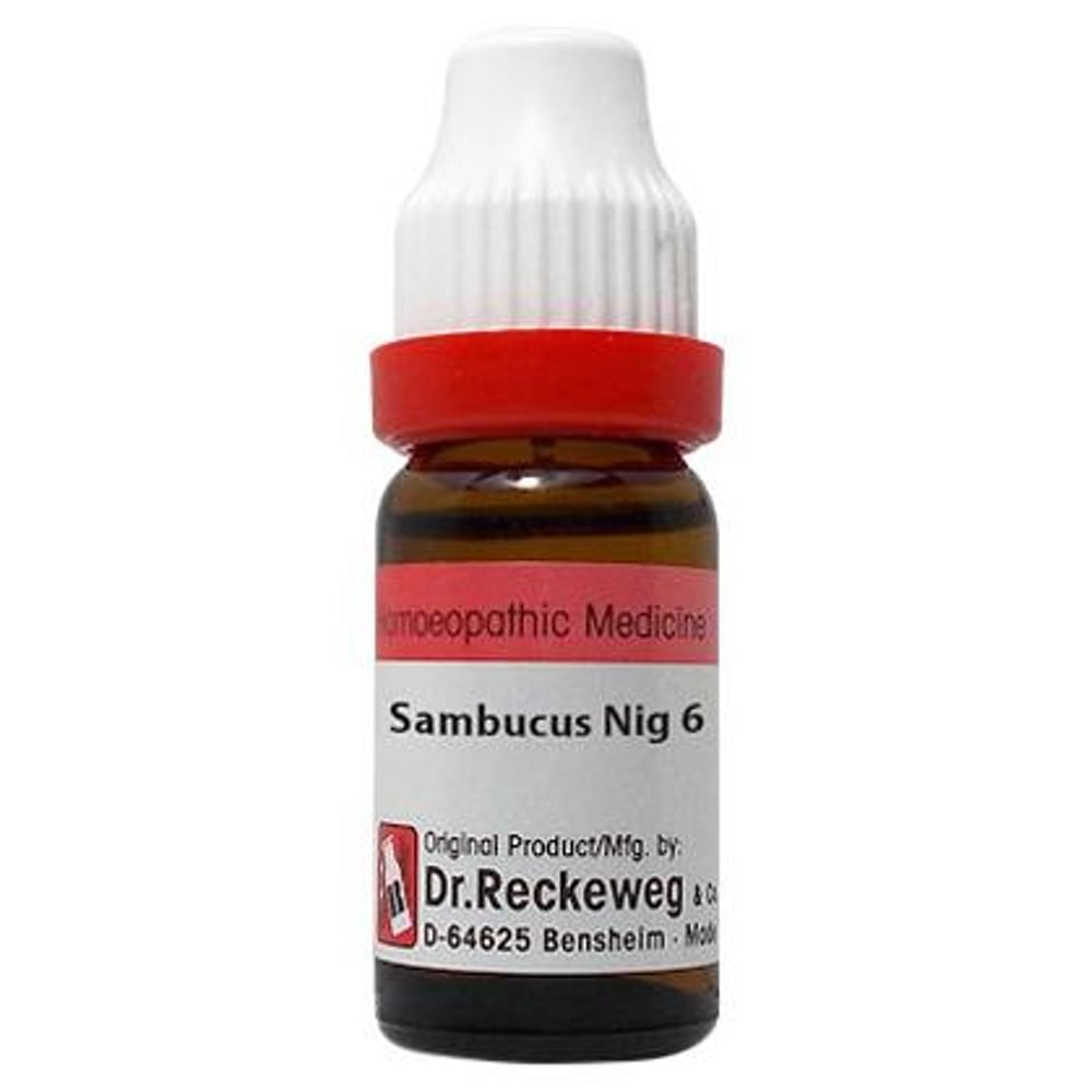 Dr. Reckeweg Sambucus Nig Dilution 6 CH Dr. Reckeweg Sambucus Nig Dilution 6 CH