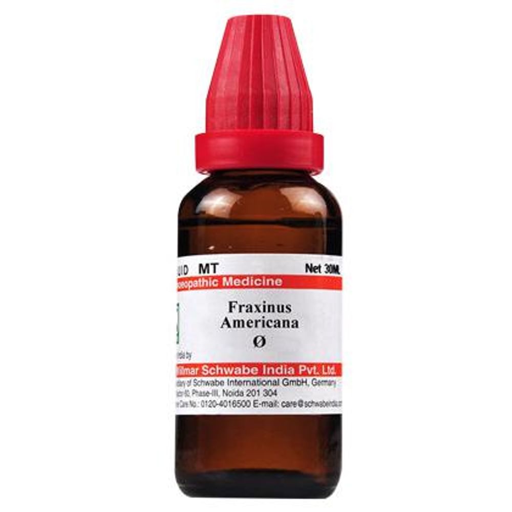 Dr Willmar Schwabe India Fraxinus Americana Mother Tincture Q Dr Willmar Schwabe India Fraxinus Americana Mother Tincture Q