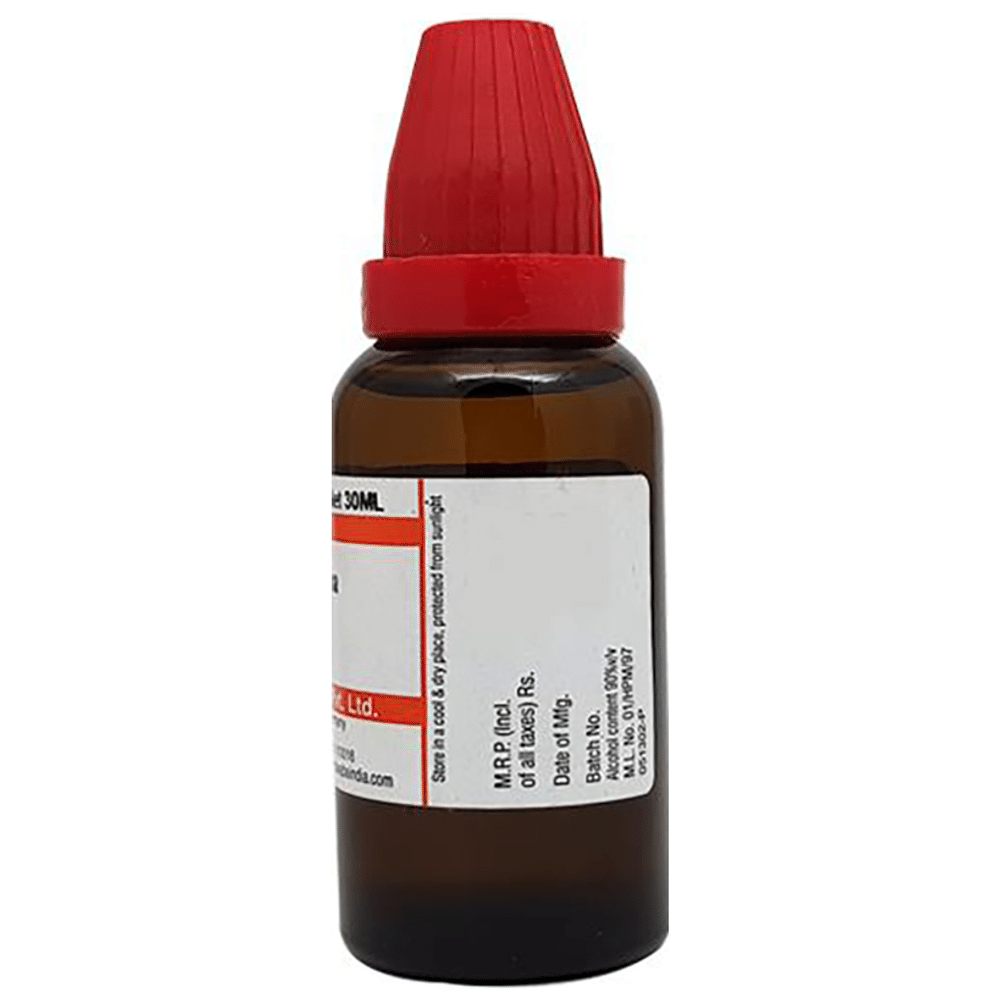 Dr Willmar Schwabe India Damiana Mother Tincture Q Dr Willmar Schwabe India Damiana Mother Tincture Q