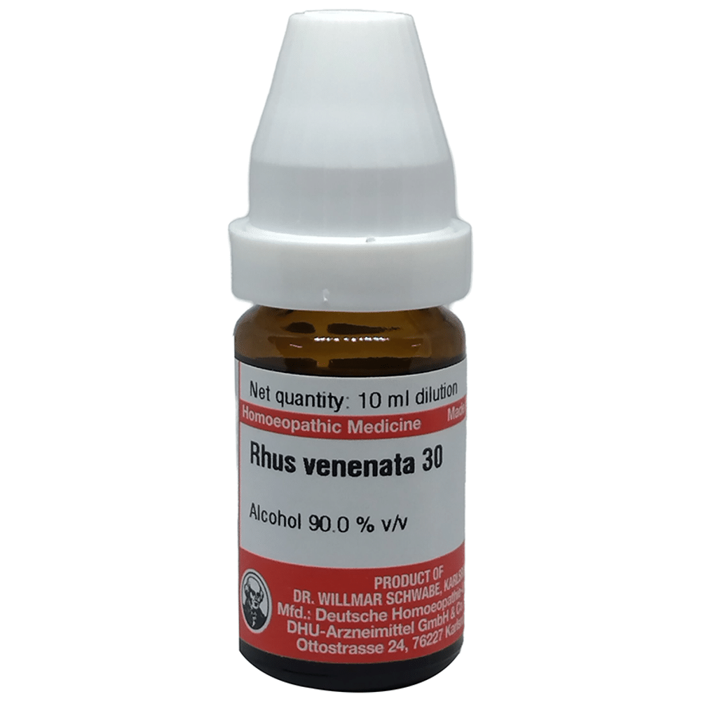 Dr Willmar Schwabe Germany Rhus Venenata Dilution 30 Dr Willmar Schwabe Germany Rhus Venenata Dilution 30