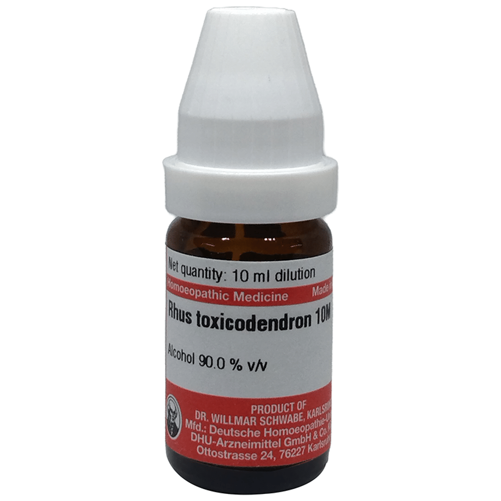 Dr Willmar Schwabe Germany Rhus Toxicodendron Dilution 10M Dr Willmar Schwabe Germany Rhus Toxicodendron Dilution 10M