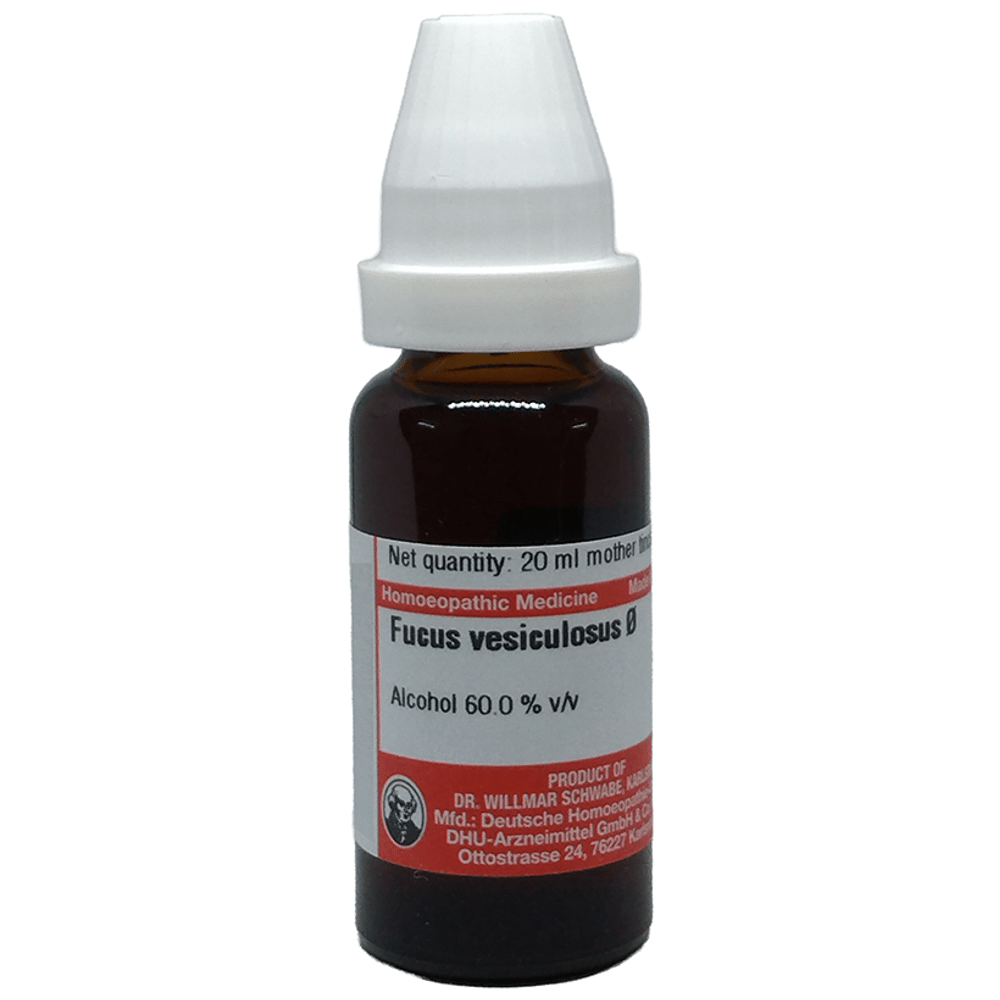Dr Willmar Schwabe Germany Focus Vesiculosus Dilution Q Dr Willmar Schwabe Germany Focus Vesiculosus Dilution Q