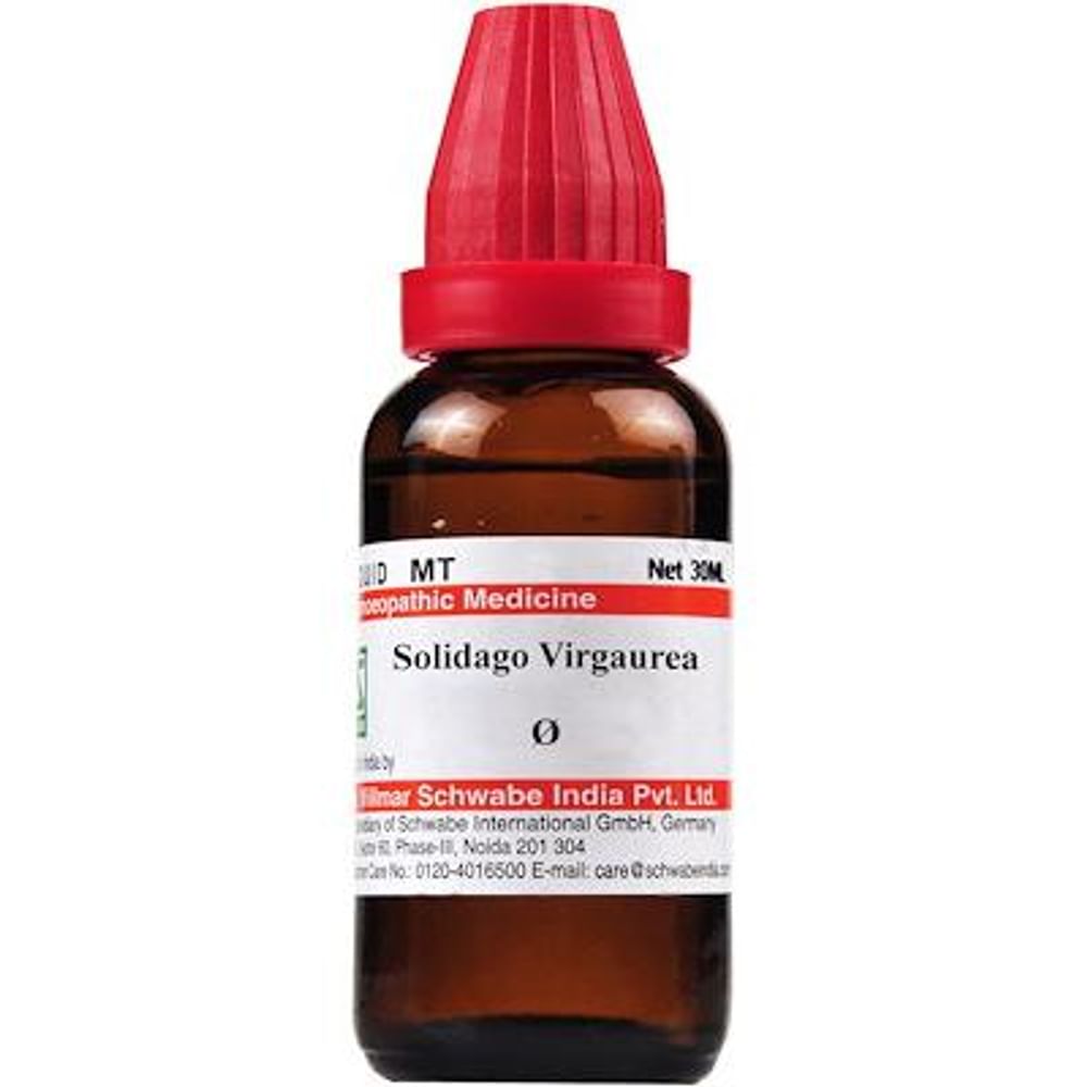 Dr Willmar Schwabe India Solidago Virgaurea Mother Tincture Q Dr Willmar Schwabe India Solidago Virgaurea Mother Tincture Q