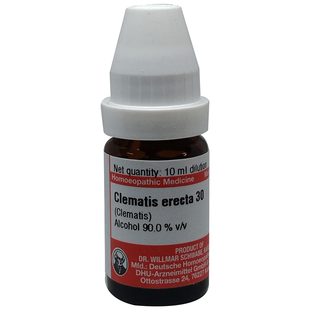 Dr Willmar Schwabe Germany Clematis Erecta Dilution 30 Dr Willmar Schwabe Germany Clematis Erecta Dilution 30