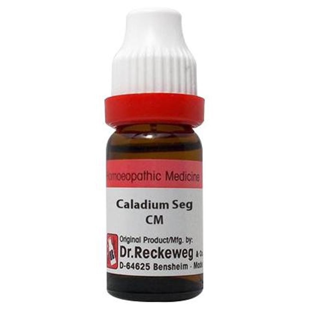 Dr. Reckeweg Caladium Seg Dilution CM CH Dr. Reckeweg Caladium Seg Dilution CM CH