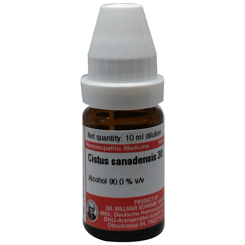 Dr Willmar Schwabe Germany Cistus Canadensis Dilution 30 Dr Willmar Schwabe Germany Cistus Canadensis Dilution 30