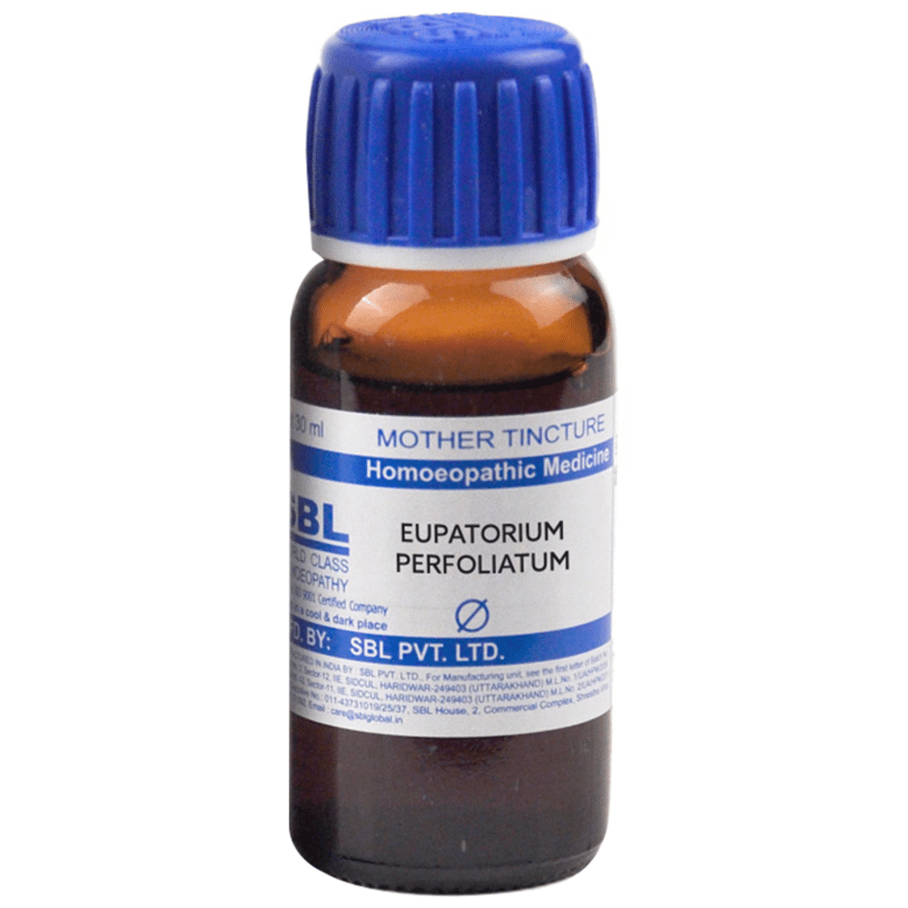SBL Eupatorium Perfoliatum Mother Tincture Q SBL Eupatorium Perfoliatum Mother Tincture Q