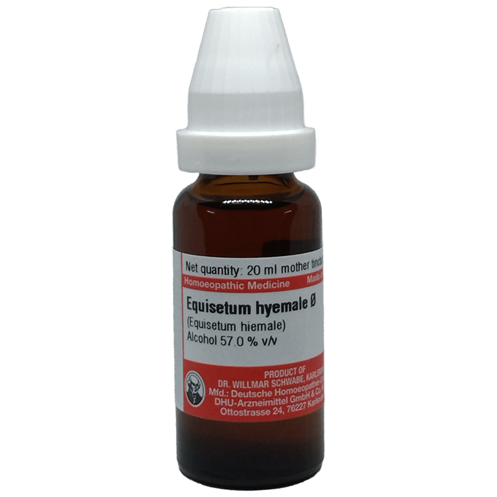 Dr Willmar Schwabe Germany Equisetum Hyemale Mother Tincture Q Dr Willmar Schwabe Germany Equisetum Hyemale Mother Tincture Q