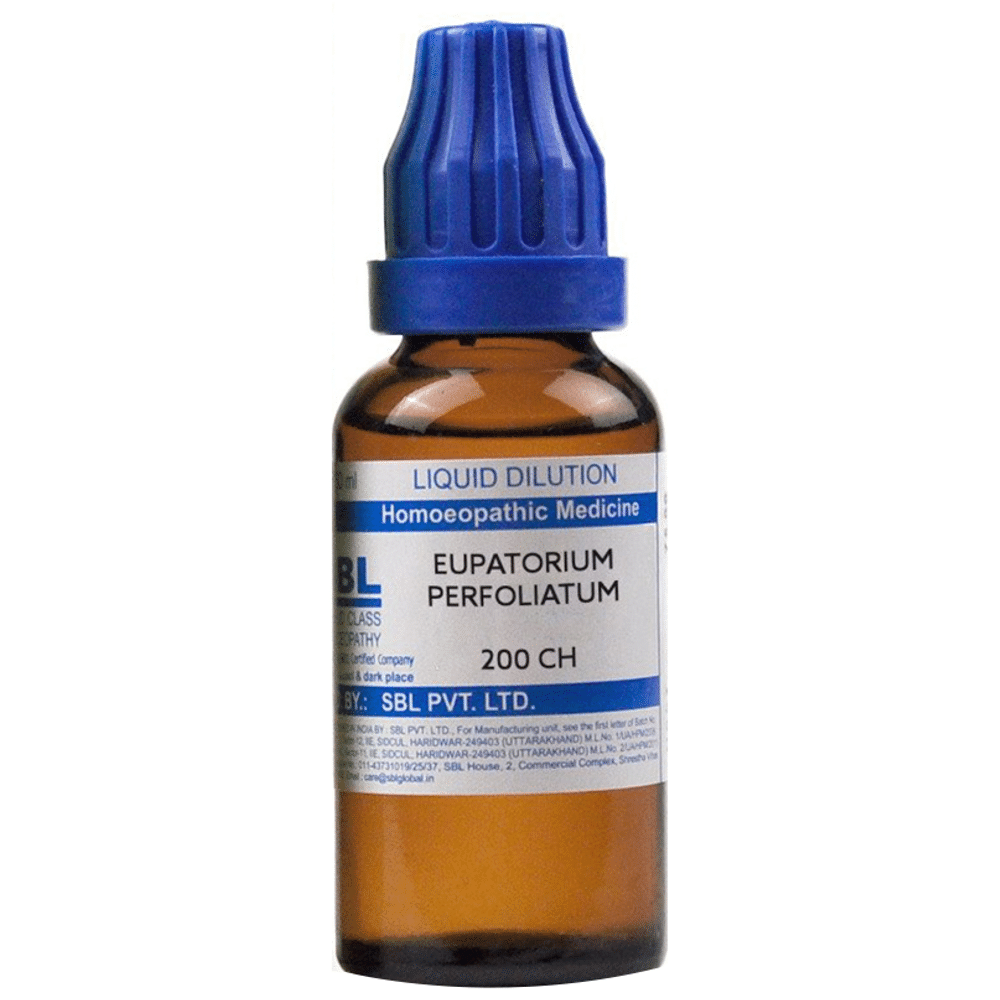 SBL Eupatorium Perfoliatum Dilution 200 CH SBL Eupatorium Perfoliatum Dilution 200 CH