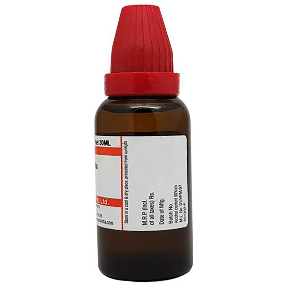 Dr Willmar Schwabe India Cydonia Vulgaris Dilution 30 CH