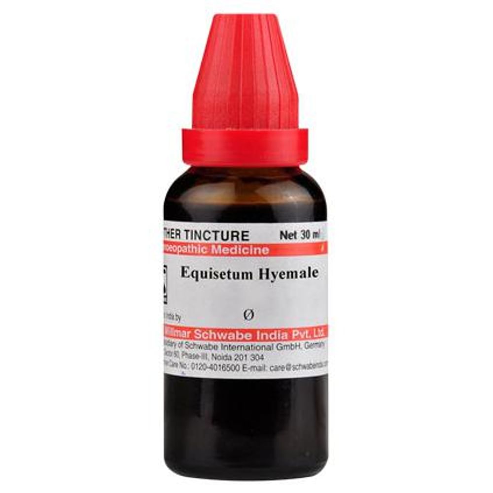 Dr Willmar Schwabe India Equisetum Hyemale Mother Tincture Q Dr Willmar Schwabe India Equisetum Hyemale Mother Tincture Q