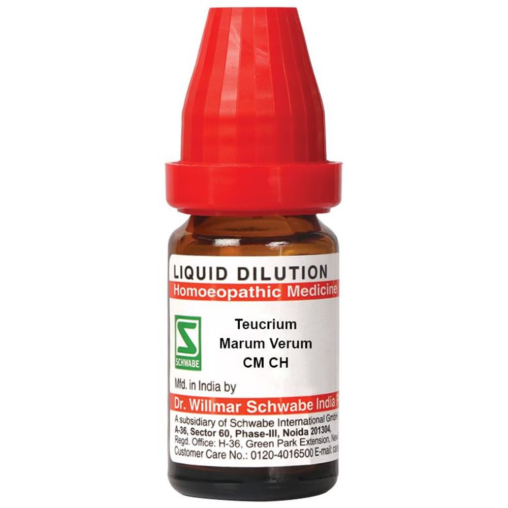 Dr Willmar Schwabe India Teucrium Marum Verum Dilution CM CH Dr Willmar Schwabe India Teucrium Marum Verum Dilution CM CH