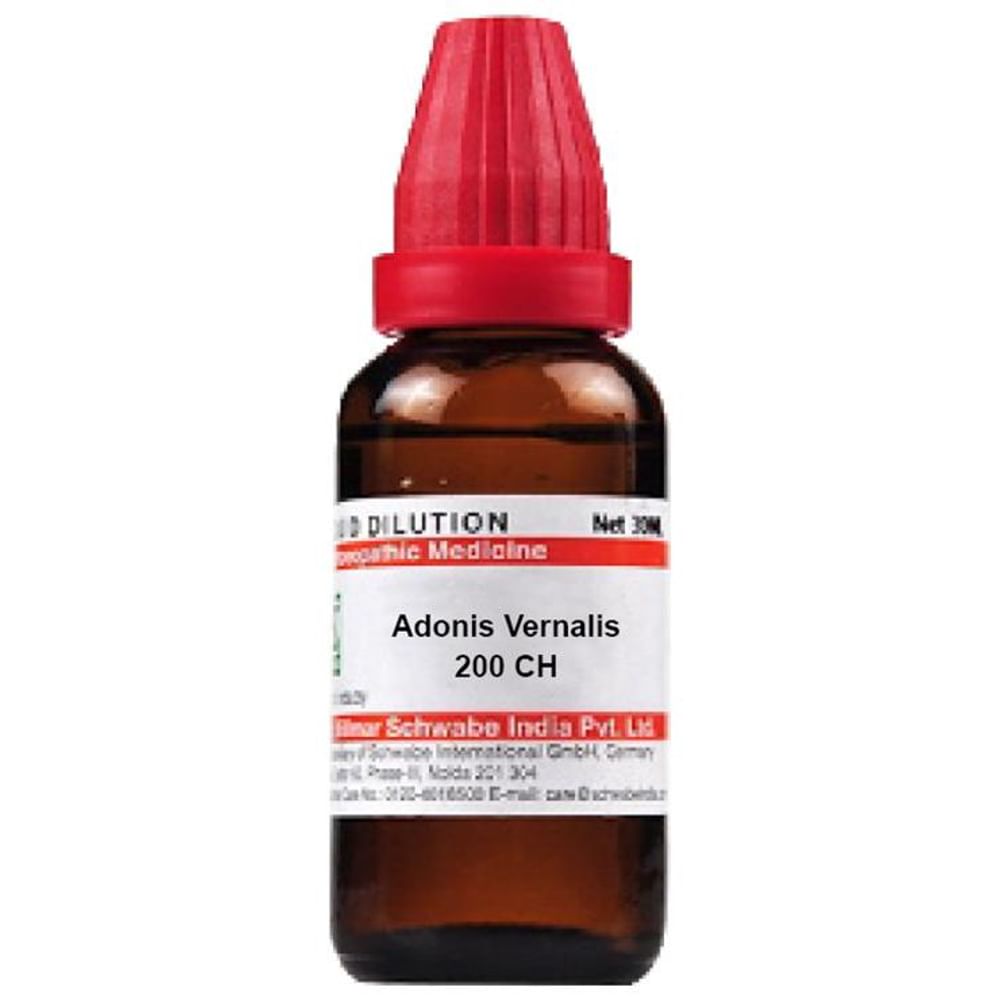 Dr Willmar Schwabe India Adonis Vernalis Dilution 200 CH Dr Willmar Schwabe India Adonis Vernalis Dilution 200 CH